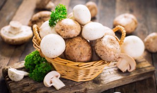 蘑菇可以放冰箱保鲜多长时间 蘑菇可以放冰箱保鲜多久