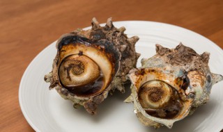 水晶螺煮几分钟能熟 水煮海螺要多久才熟
