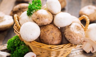 蘑菇放在冰箱长大了能吃吗 买的蘑菇放冰箱时候长了能吃吗?