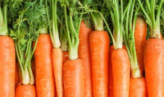 胡萝卜怎样做既好吃又简单 胡萝卜怎样做的好吃