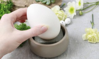 煮鹅蛋用几分钟能熟 鹅蛋煮多少分钟可以熟