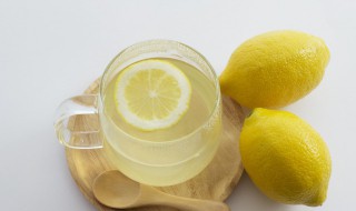柠檬跟冰糖做法 冰糖柠檬的做法