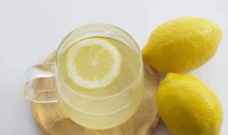 柠檬饮品的做法大全 饮品柠檬水做法