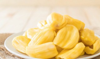 菠萝蜜籽在花盆里发芽了怎么种活（菠萝蜜籽在花盆里发芽了怎么种活的快）
