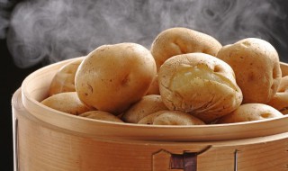 土豆蒸多久能熟 辅食土豆蒸多久能熟