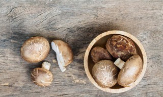 新香菇保存方法 新鲜香菇如何贮存