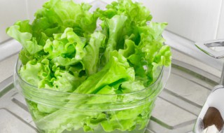 晚上吃啥素菜既简单又好吃 晚餐吃什么蔬菜最好