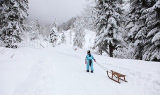 哈尔滨雪乡在哪里 哈尔滨雪乡是什么地方