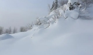 东北雪乡自助游 东北雪乡自由行行程