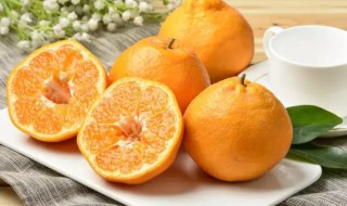 柑子可以放冰箱吗 沃柑可以放冰箱保鲜吗