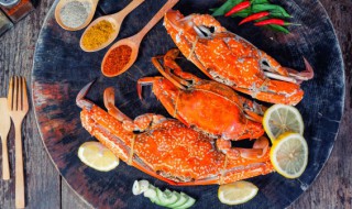 河蟹放冰箱里会死吗（河蟹放在外面会不会死）