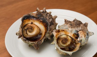 海螺煮几分钟能熟海螺如何保存 海螺煮几分钟好吃又嫩