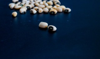 黑豆豉晒干怎么做有营养（晒干的黑豆怎么做好吃）