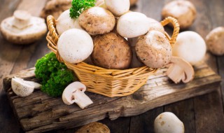 白蘑菇煮几分钟熟 白蘑菇煮多久才能熟