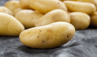 马铃薯发芽了要怎么种 马铃薯发芽了可以种吗
