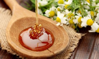 蜂糖能放冰箱吗（蜜蜂糖可以放冰箱吗）
