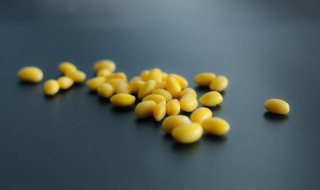 怎么看黄豆熟了没 黄豆怎样才算熟了呢?