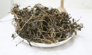 晒干的马齿笕怎么吃（晒干的马齿笕怎么吃,可以祛痘印）