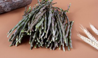 野生铁皮石斛栽培方法（铁皮石斛的种植法）