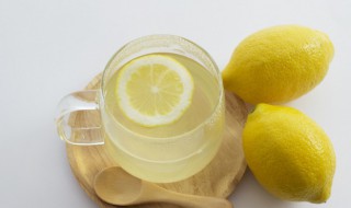 冰糖川贝炖柠檬的做法 川贝柠檬炖冰糖的比例