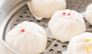 蒸大包子开锅多久能熟（蒸包子要开锅多久熟）