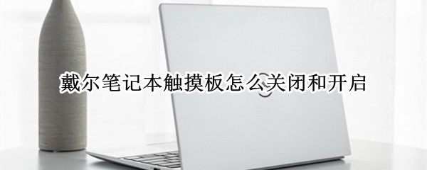 戴尔笔记本触摸板怎么关闭和开启（戴尔笔记本触摸板怎么关闭和开启win7系统）