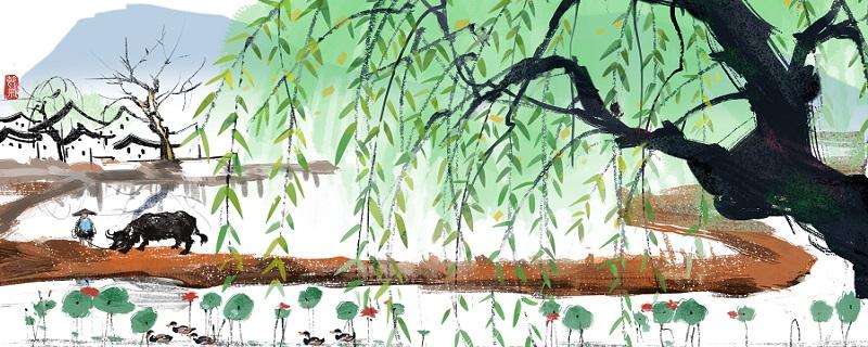 清明节为什么要插柳枝（清明节为什么要插柳枝斗鸡蛋）