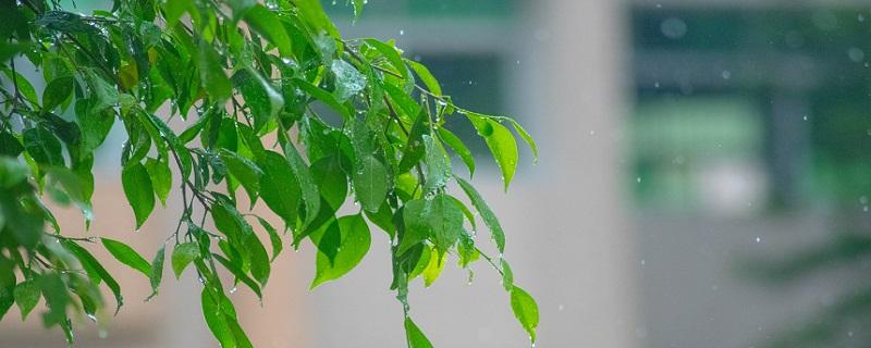 清明时节雨纷纷路上行人欲断魂的意思