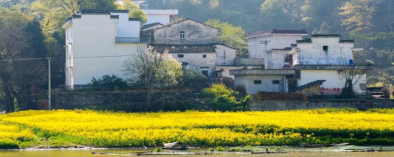 清明节能出去玩吗