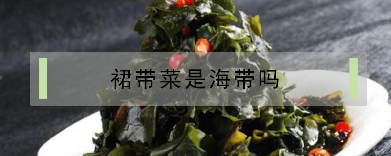 裙带菜是海带吗（裙带菜是海带吗怎么做好吃）