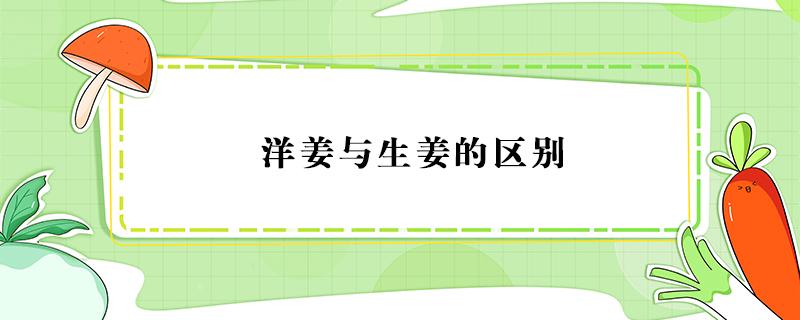 洋姜与生姜的区别 洋姜与生姜的区别图片大全