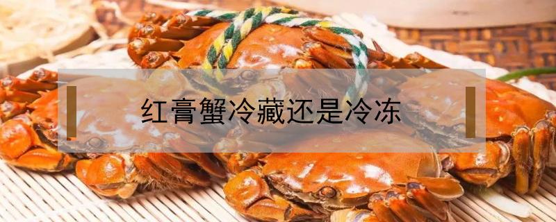 红膏蟹冷藏还是冷冻（红膏蟹可以冷冻吗）