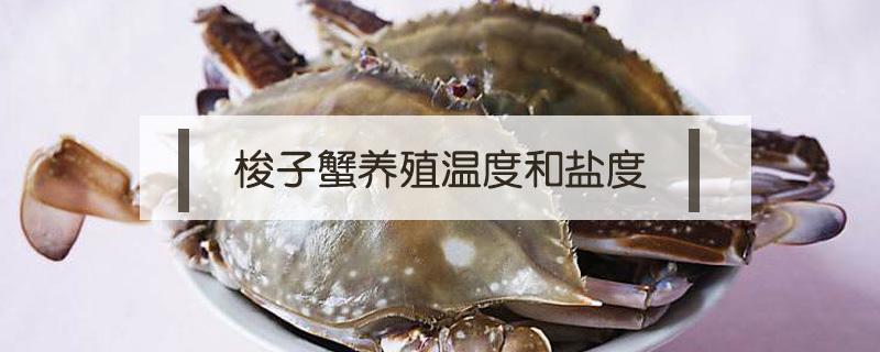 梭子蟹养殖温度和盐度 梭子蟹需要多少度的盐和温度