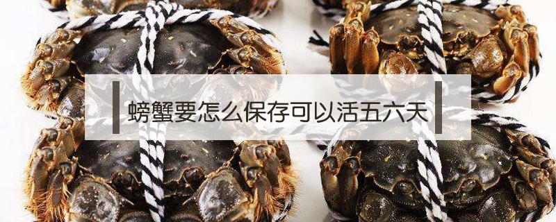 螃蟹要怎么保存可以活五六天 螃蟹怎么活着保存两天