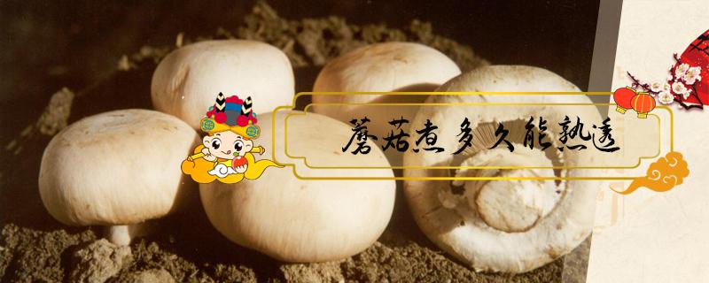 蘑菇煮多久能熟透 蘑菇煮熟要多久