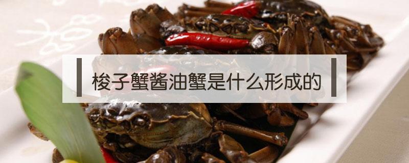 梭子蟹酱油蟹是什么形成的