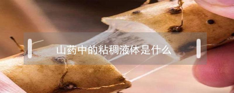 山药中的粘稠液体是什么 山药粘液是什么成分