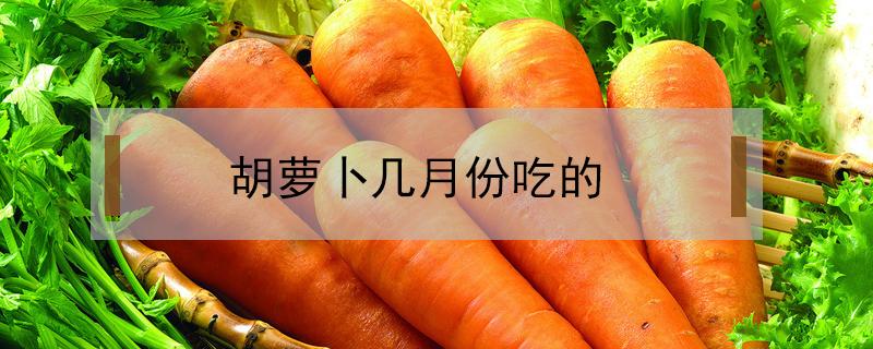胡萝卜几月份吃的 胡萝卜是几月的蔬菜