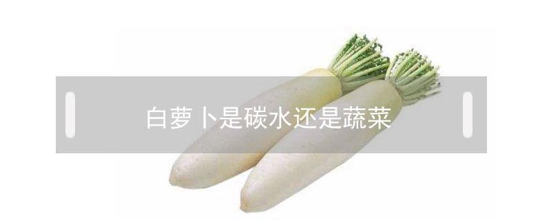 白萝卜是碳水还是蔬菜 青萝卜是碳水还是蔬菜