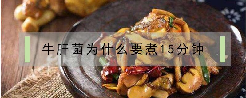 牛肝菌为什么要煮15分钟 干牛肝菌为什么要煮15分钟