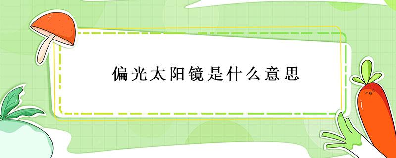 偏光太阳镜是什么意思（尼龙偏光太阳镜是什么意思）