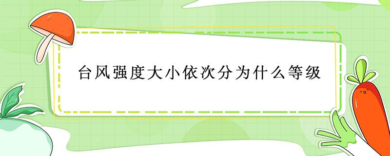 台风强度大小依次分为什么等级