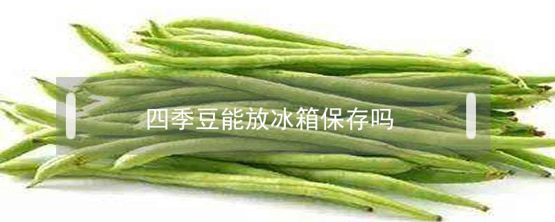 四季豆能放冰箱保存吗