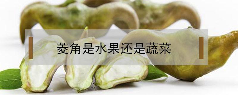 菱角是水果还是蔬菜