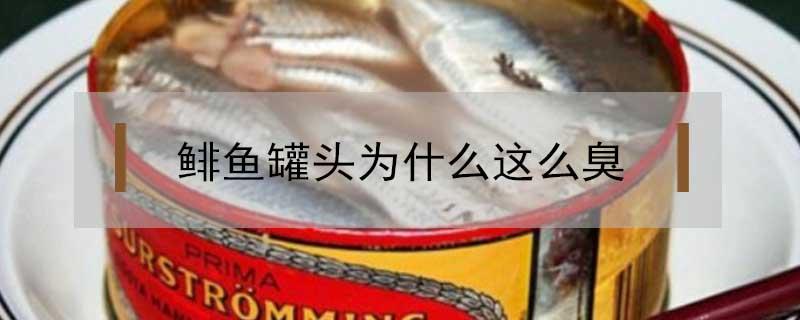 鲱鱼罐头为什么这么臭 鲱鱼罐头为什么这么臭还有人吃