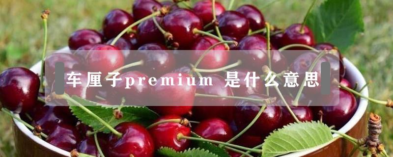 车厘子premium（车厘子premium 是几j）