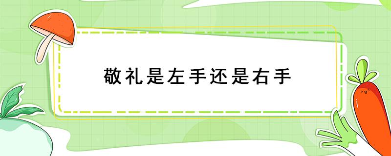 敬礼是左手还是右手（小学生敬礼是左手还是右手）