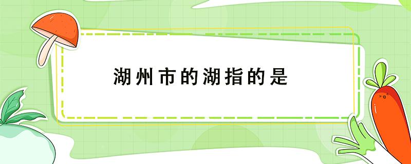湖州市的湖指的是（湖州市的湖指的是哪个地方）
