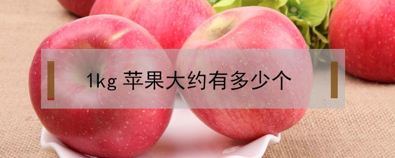 1kg苹果大约有多少个 1kg的苹果