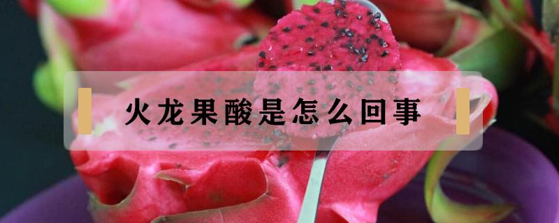 火龙果酸是怎么回事 火龙果酸酸的怎么回事
